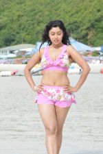Payal Ghosh (Harika) in Bikini Swimwear Photoshoot on 30th May 2010 (54).JPG